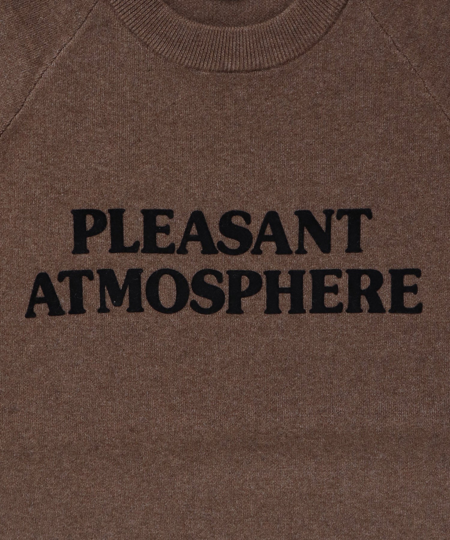 【WEB限定/別注】【新色追加】スウェットライクロゴニット